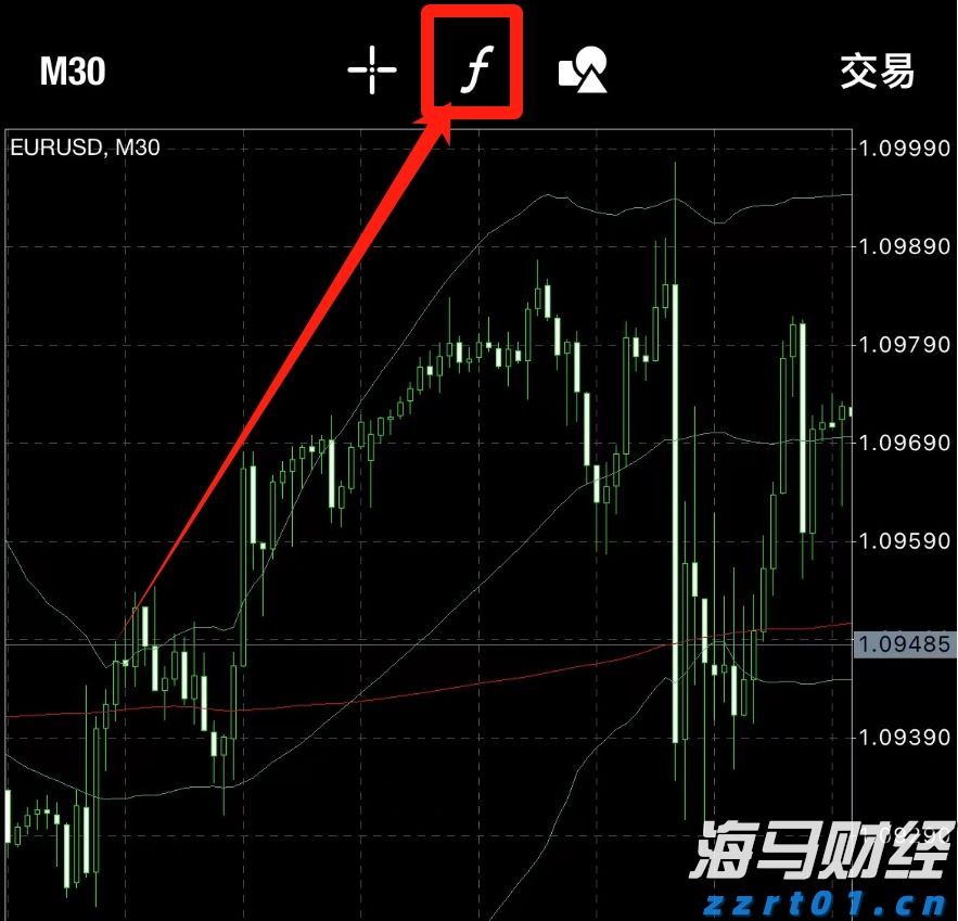 广东湛江：中华白海豚种群稳定 生态保护显成效